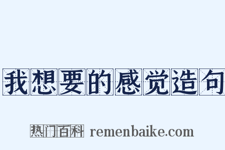我想要的感觉造句是什么意思的图片